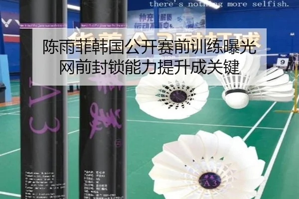 陈雨菲韩国公开赛前训练曝光 网前封锁能力提升成关键